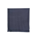 Gucci Blue Scarves Men
