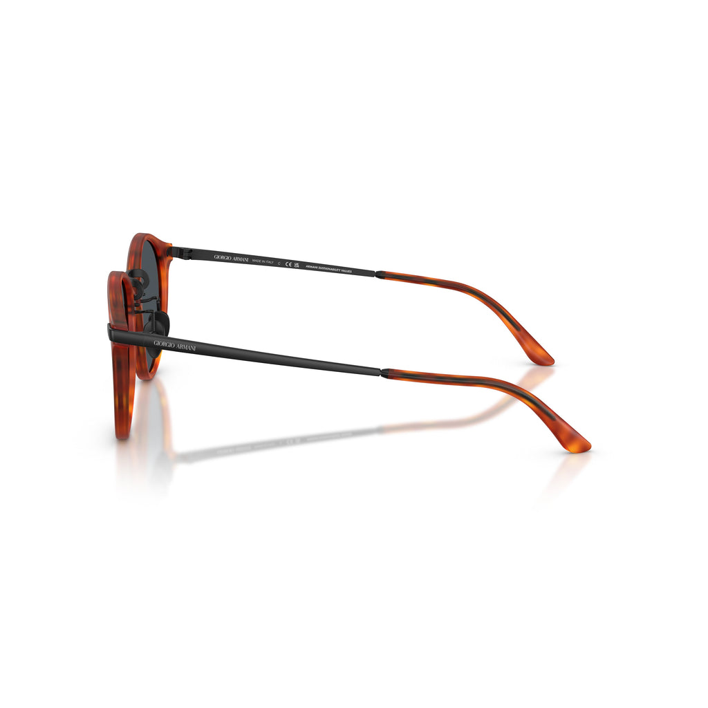 0Ar8250 Tortoiseshell Acetate Sunglasses