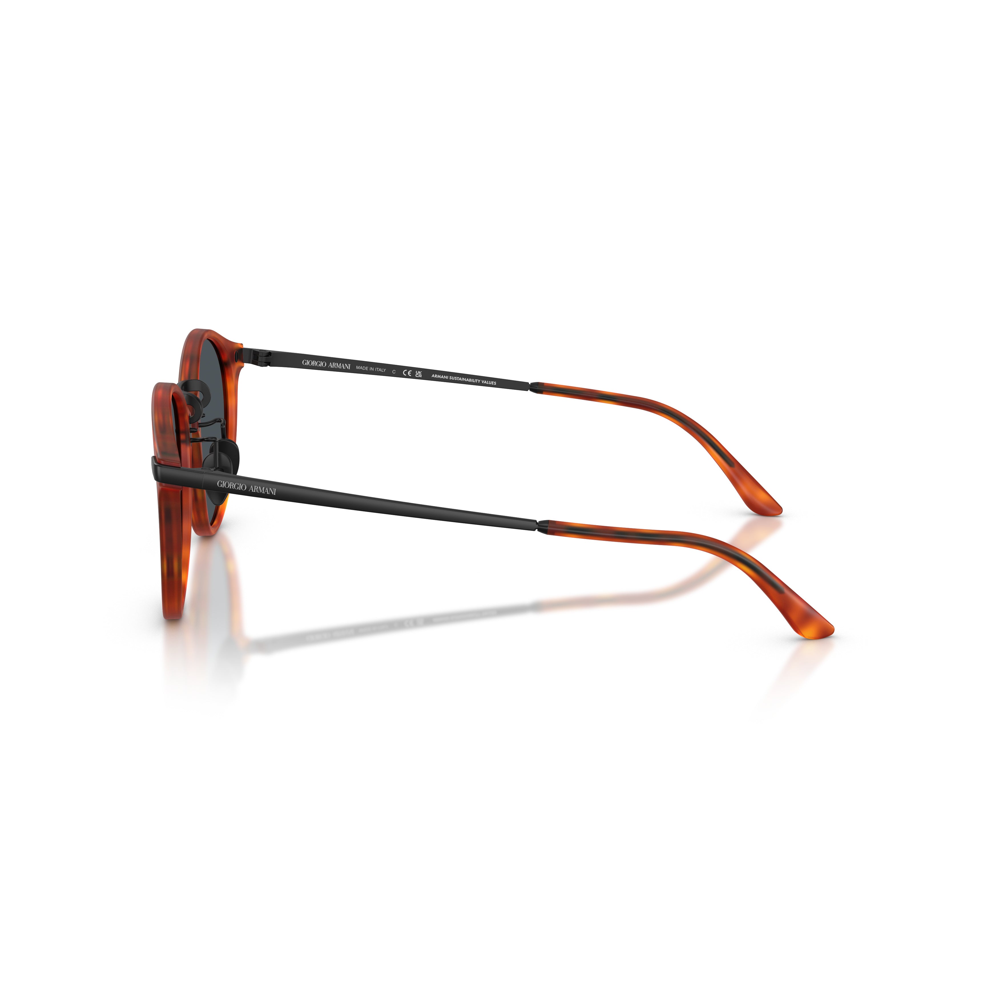 0Ar8250 Tortoiseshell Acetate Sunglasses