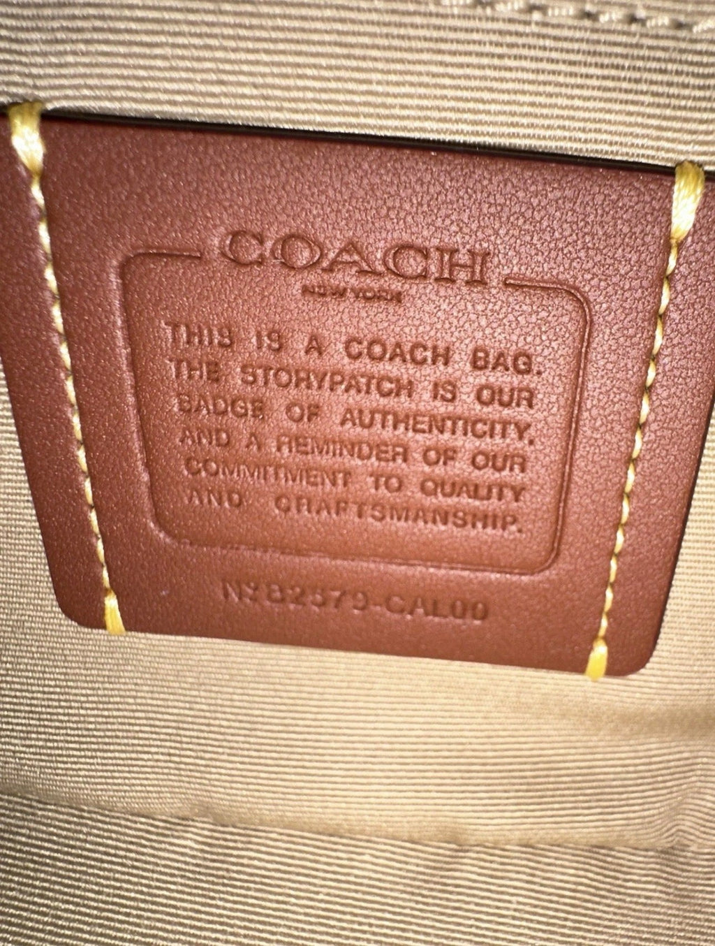 NWT Coach Carmen Mini Crossbody Bag With Lemon Print