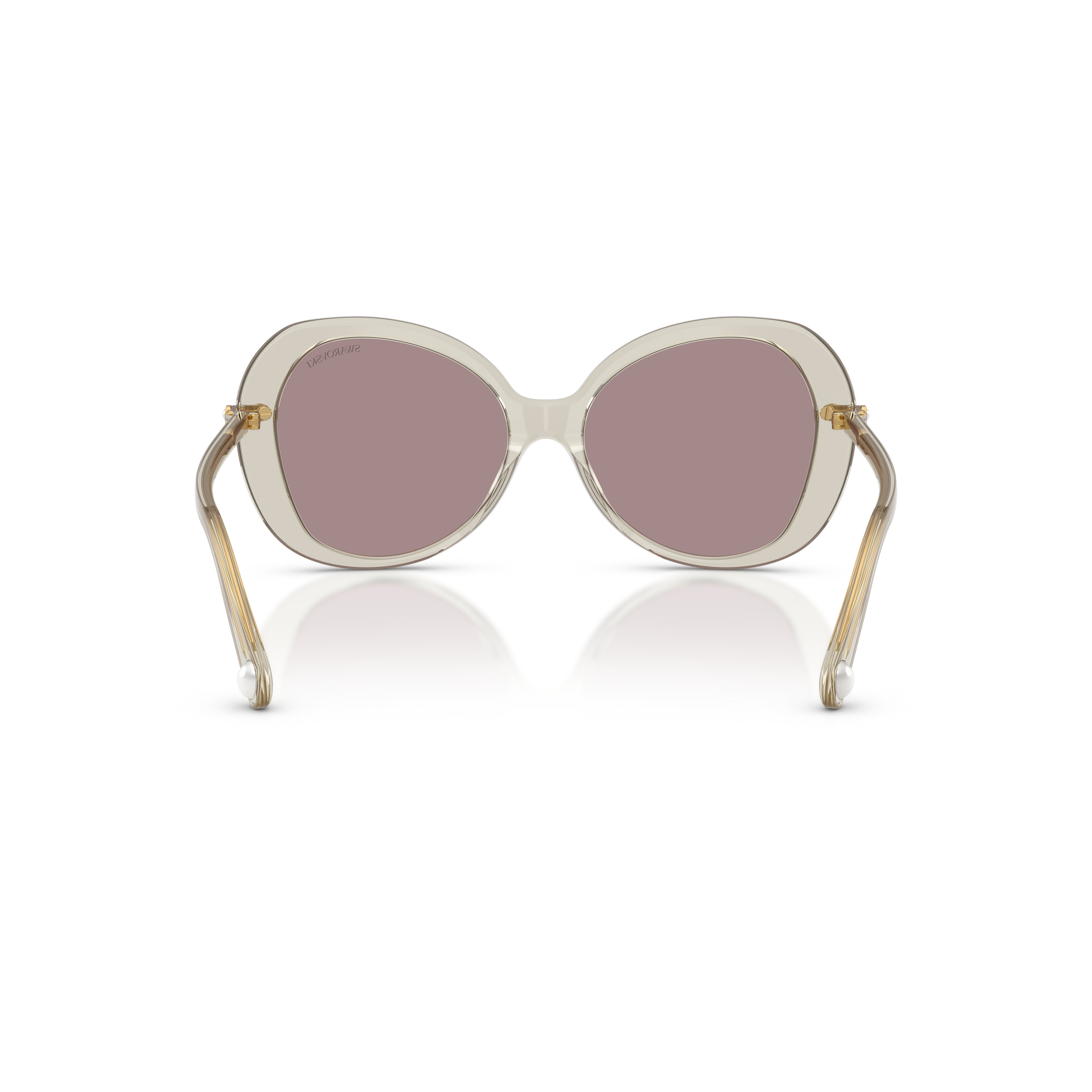0Sk6059 Large Rounded Acetate Sunglasses with Gold-Toned Temples