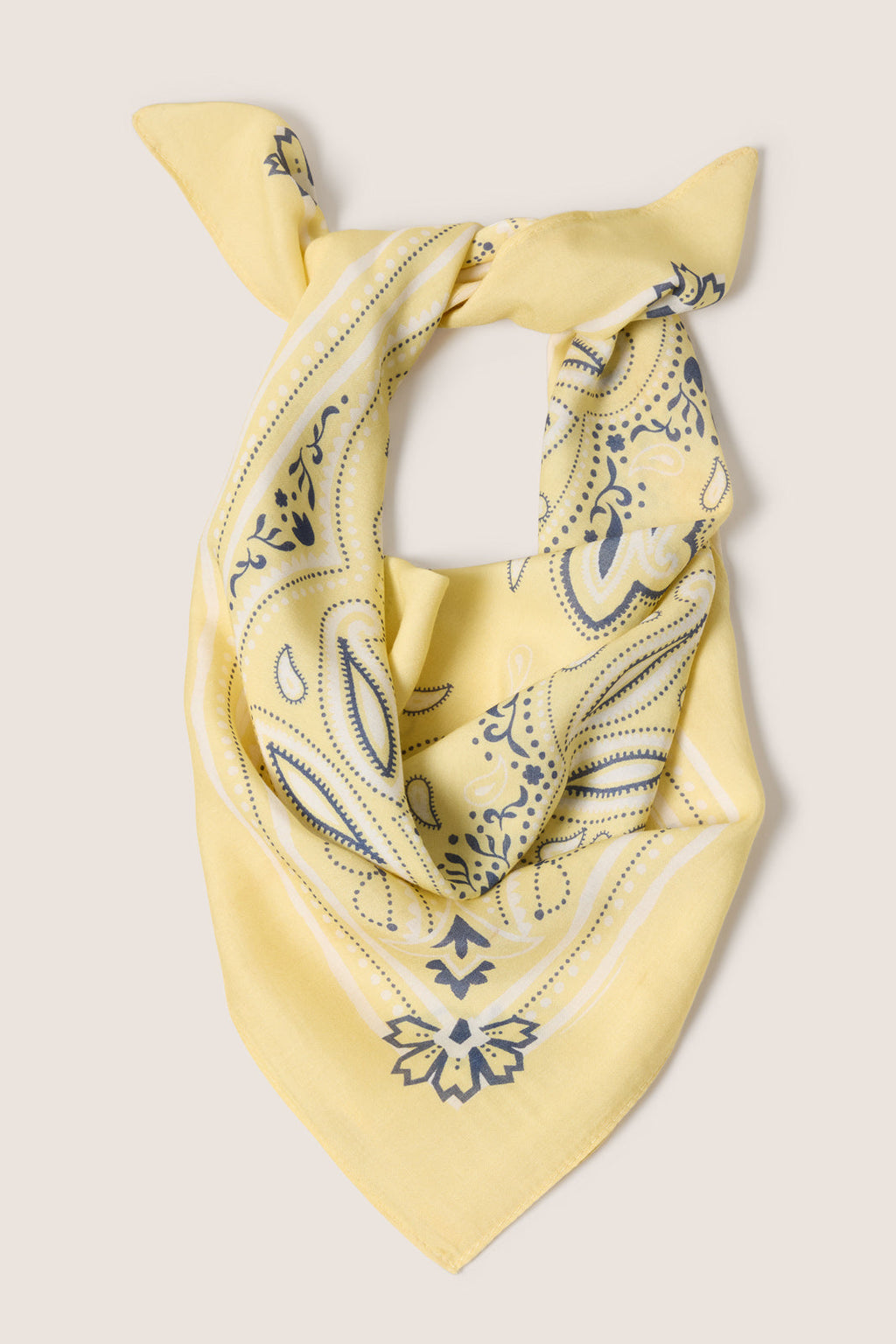 Women's Ellie Paisley Bandana