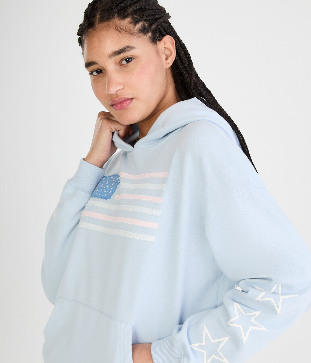 Aeropostale Cloud Soft Flag Americana Pullover Hoodie