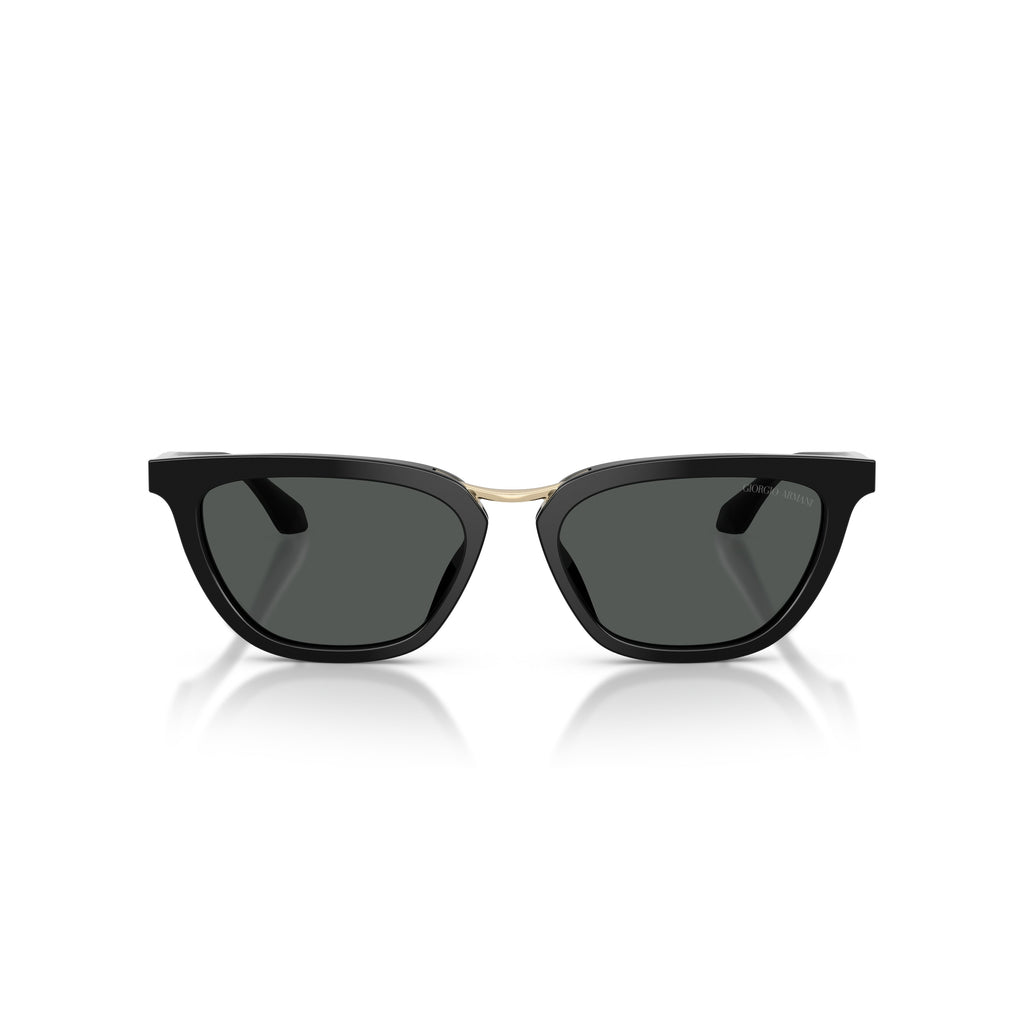 0Ar8253U Angular Acetate Sunglasses