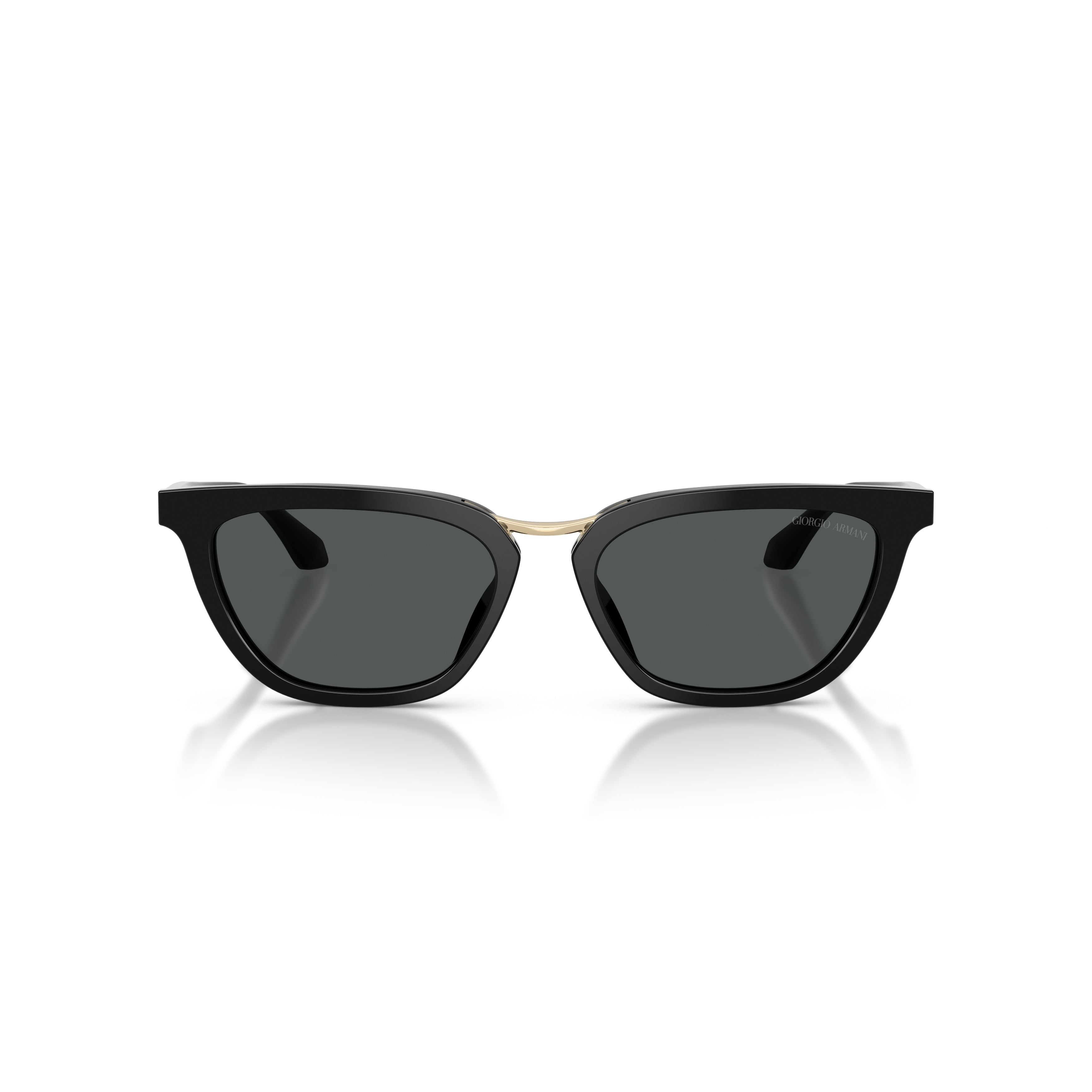 0Ar8253U Angular Acetate Sunglasses