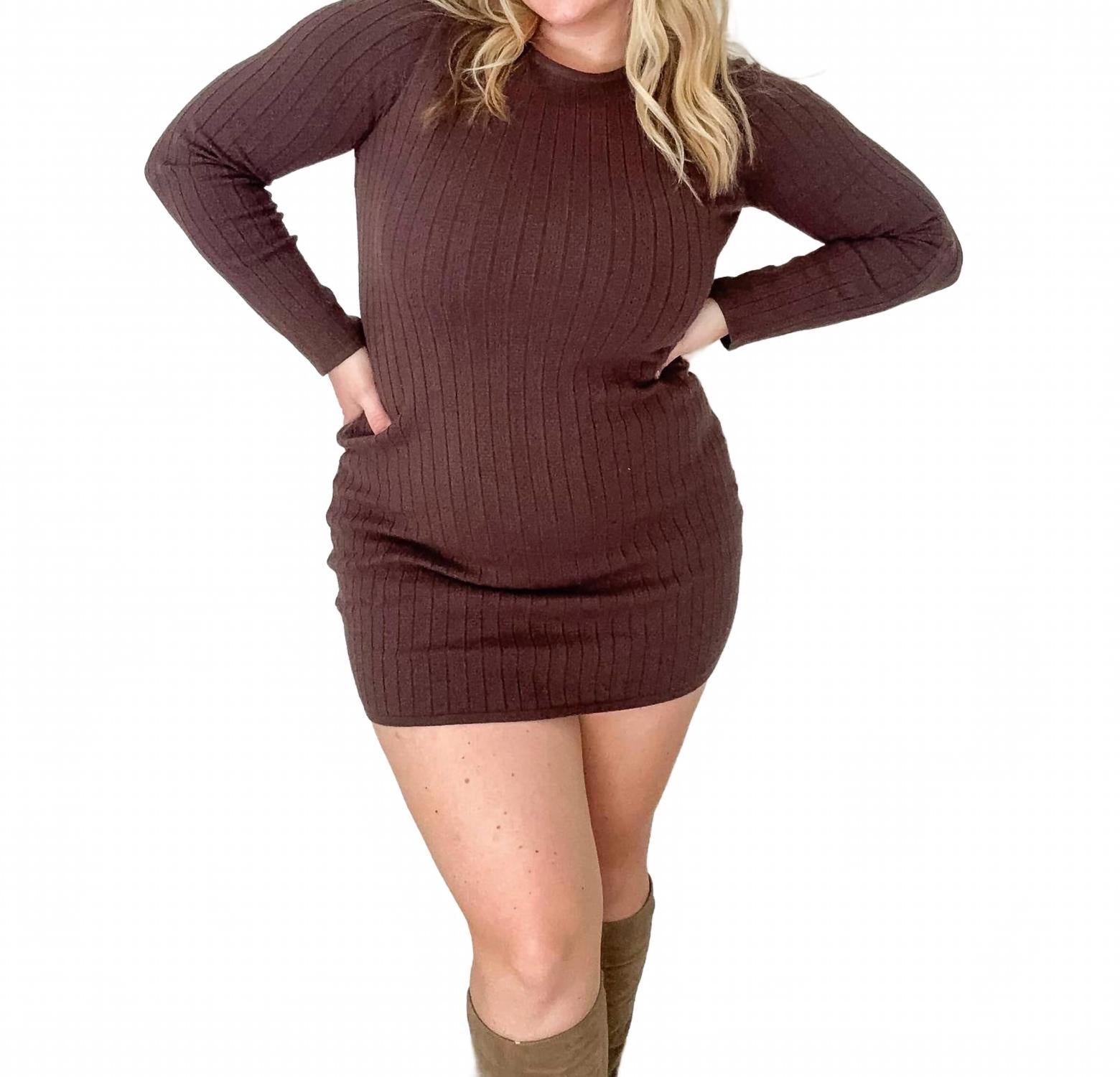 Maren Pointelle Sweater Dress In Brown