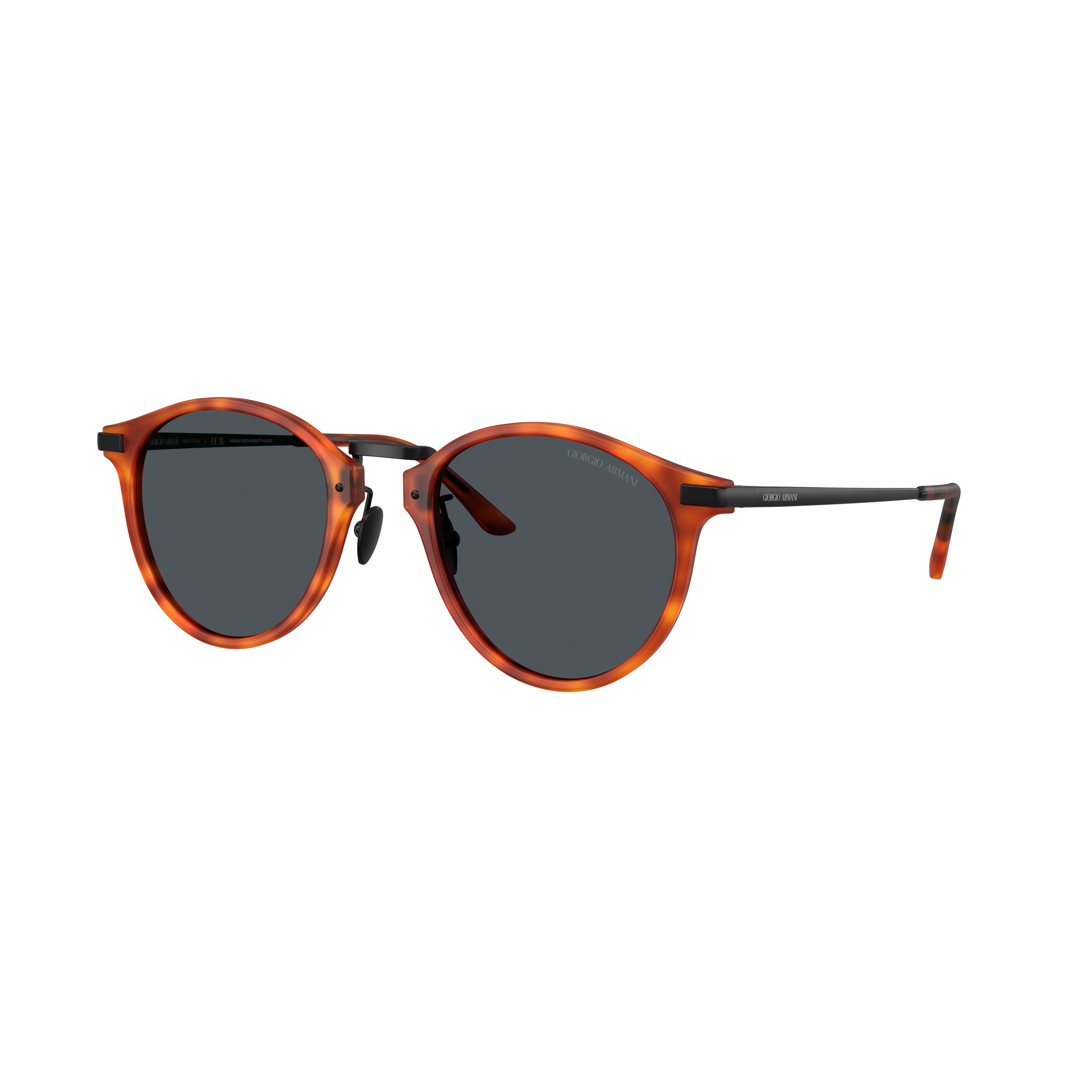0Ar8250 Tortoiseshell Acetate Sunglasses