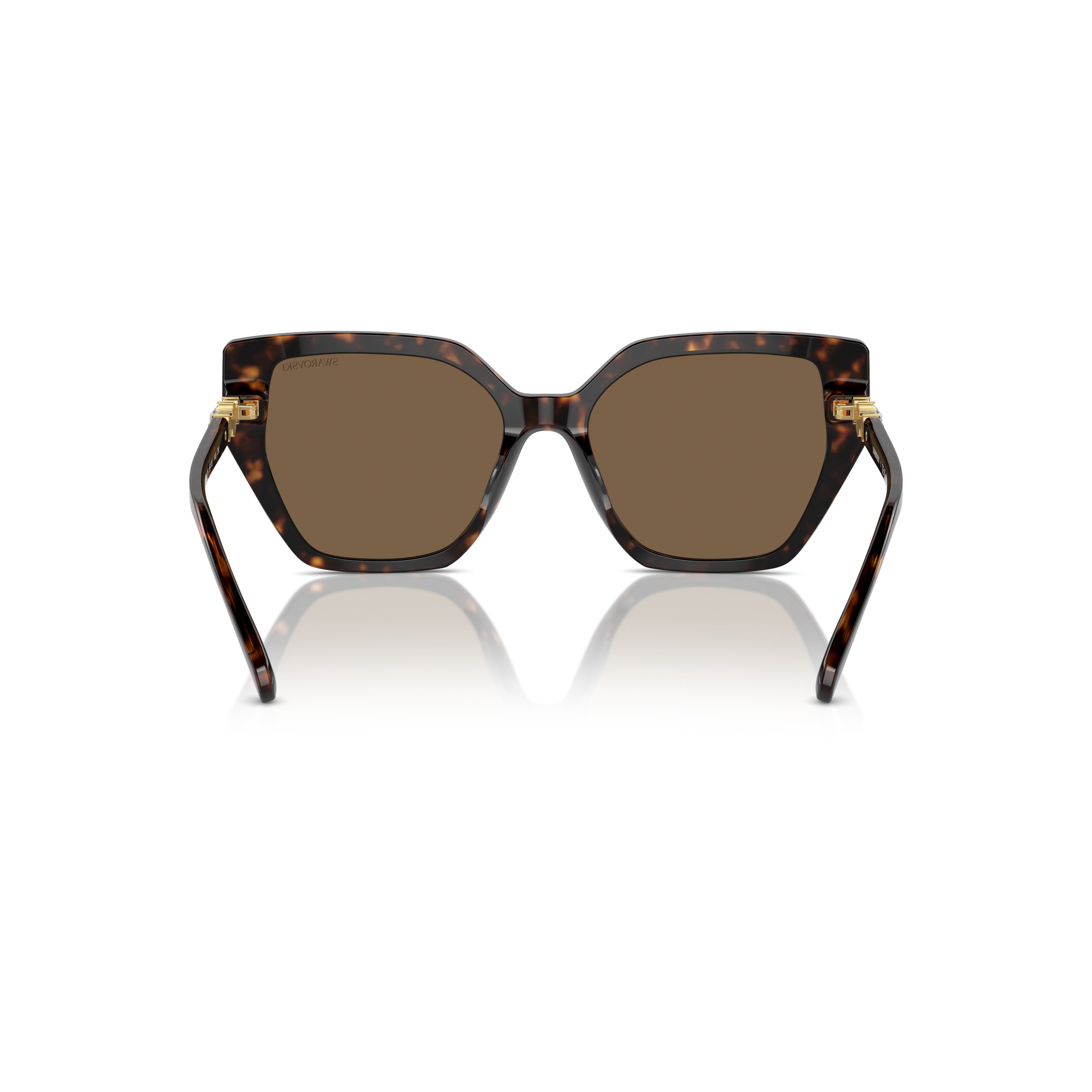 0Sk6016 Oversized Cat-Eye Sunglasses with Tortoiseshell Acetate