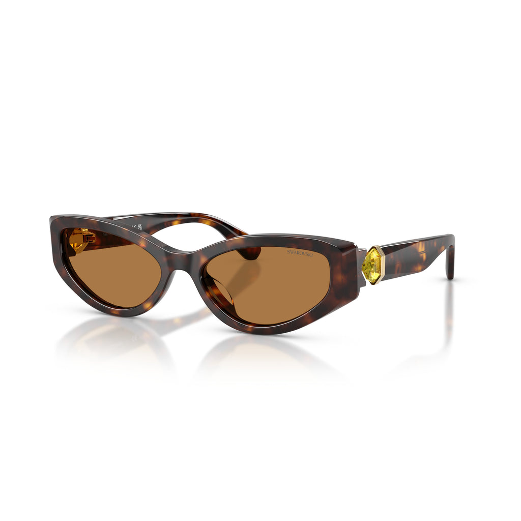 0Sk6045U Cat-Eye Sunglasses with Tortoiseshell Frame