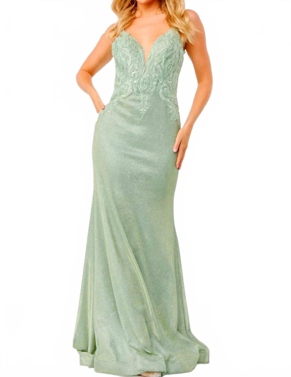 Backless Embroidered Gown In Light Green