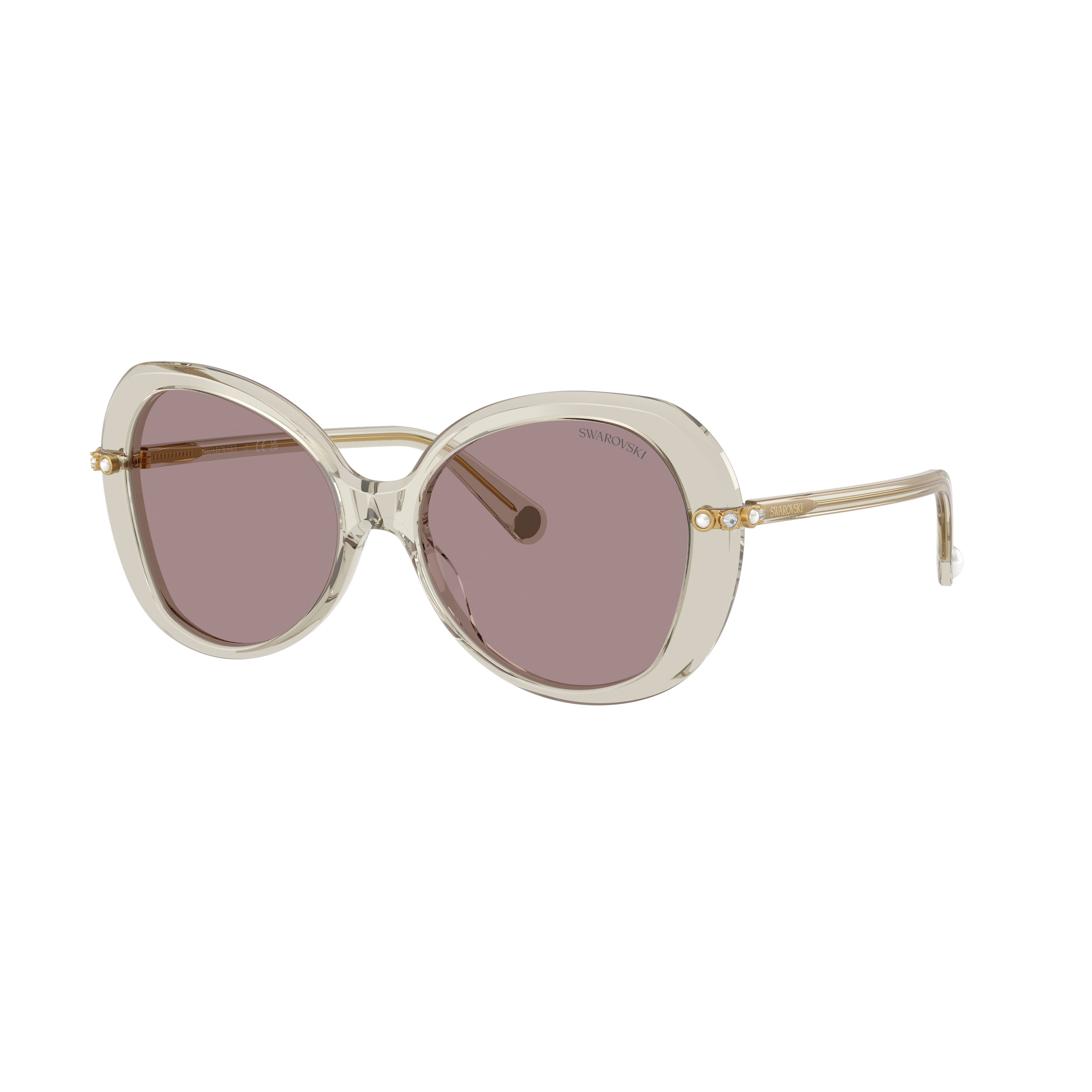0Sk6059 Large Rounded Acetate Sunglasses with Gold-Toned Temples