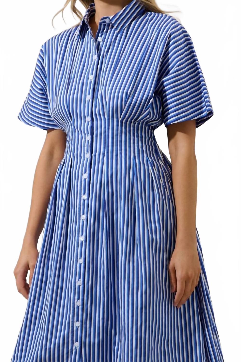 Wilderra Pleated Midi Dress In Barklin Stripe