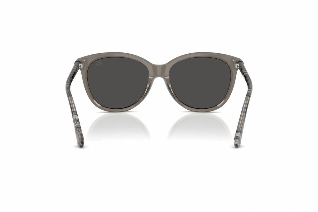 Women's Oval Sunglasses In Grey