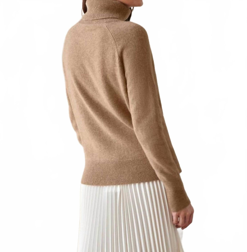 Cashmere Essential Turtleneck Sweater In Beige