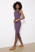 Women's Wren Stripe Dress