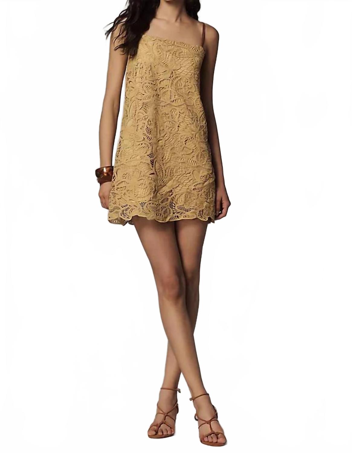 Tansy Tunic Mini Dress In Dijon
