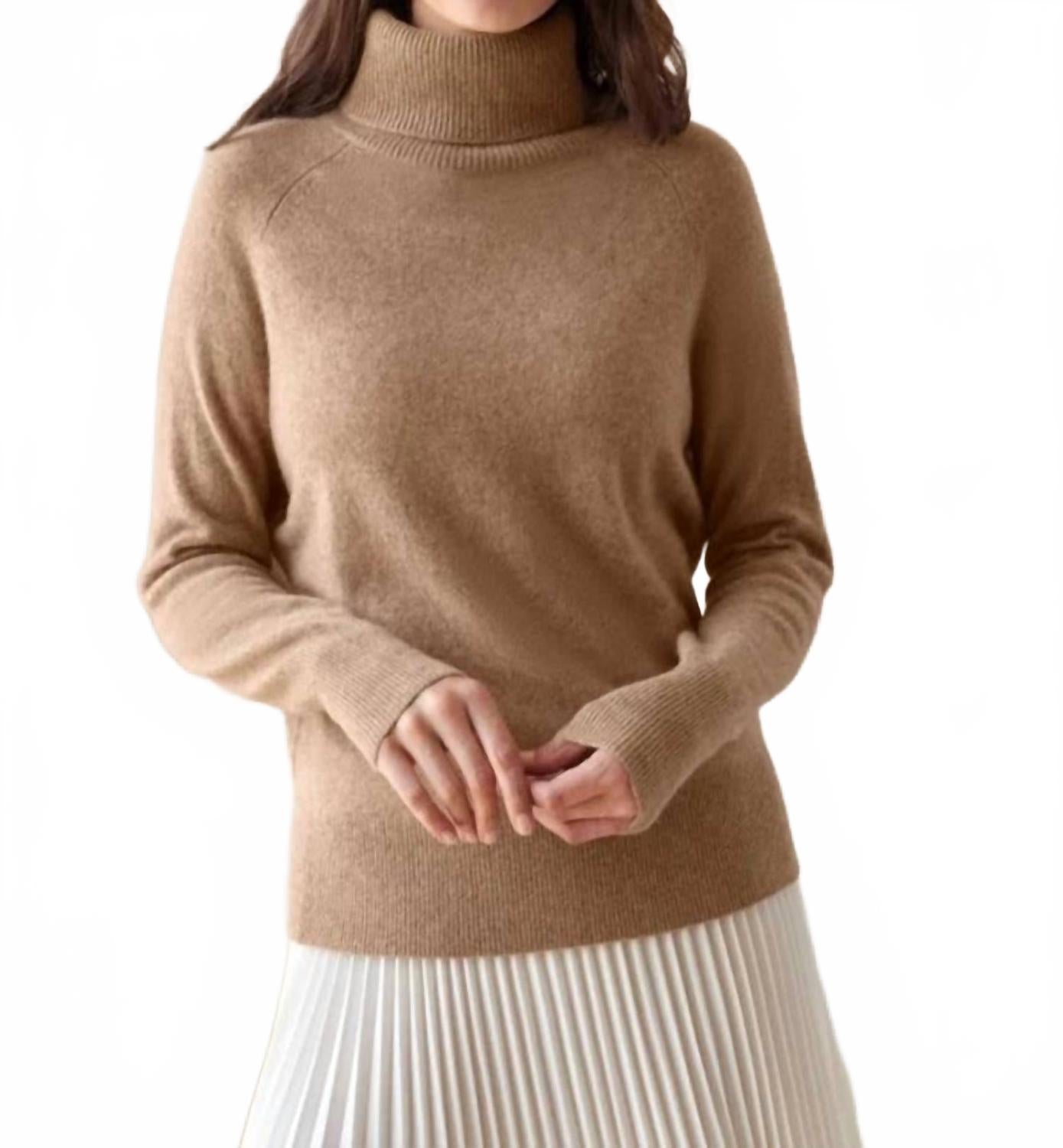 Cashmere Essential Turtleneck Sweater In Beige