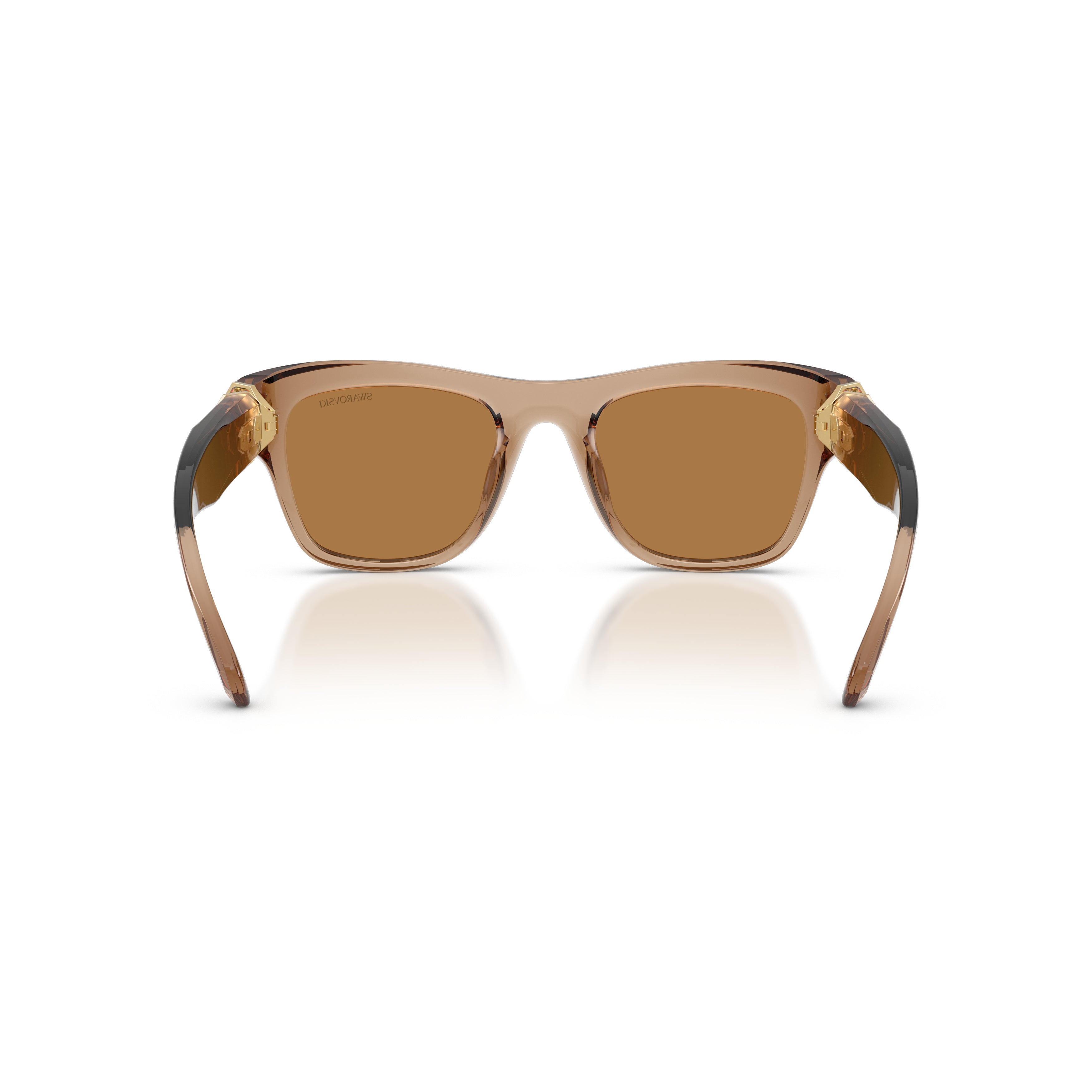 0Sk6056U Translucent Brown Square Sunglasses with Gold-Tone Accents