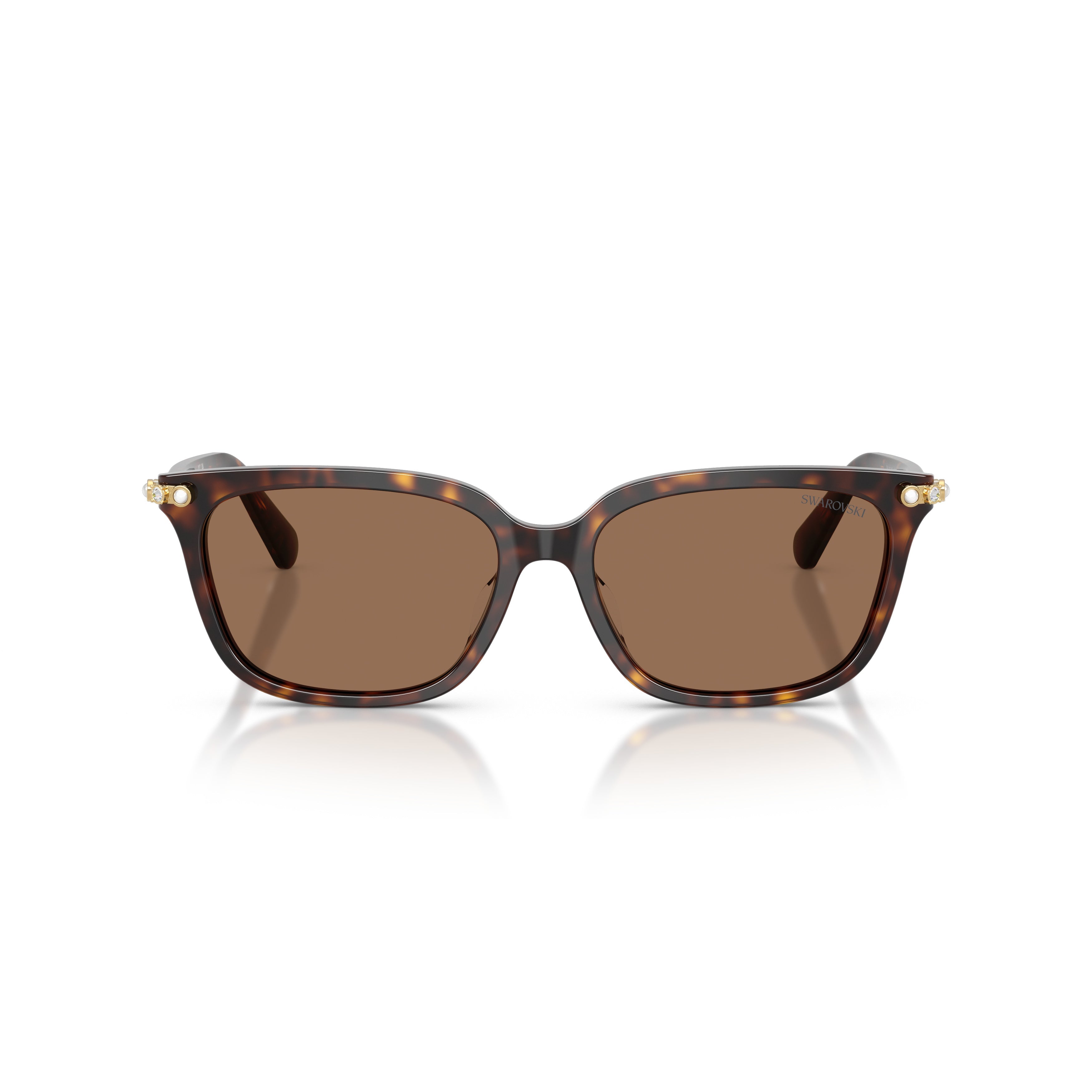 0Sk6064D Rectangular Tortoiseshell Sunglasses with Gold Accents