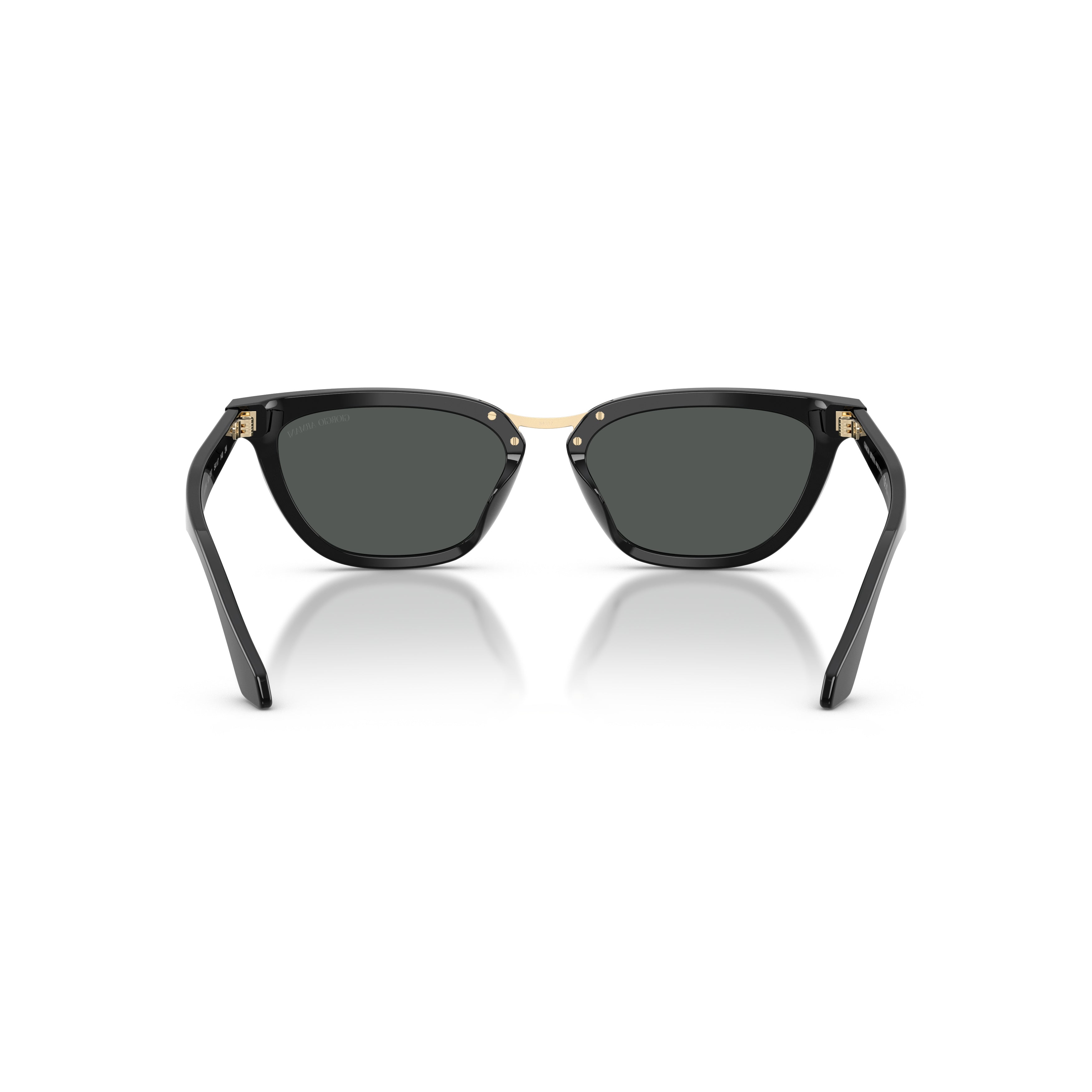 0Ar8253U Angular Acetate Sunglasses