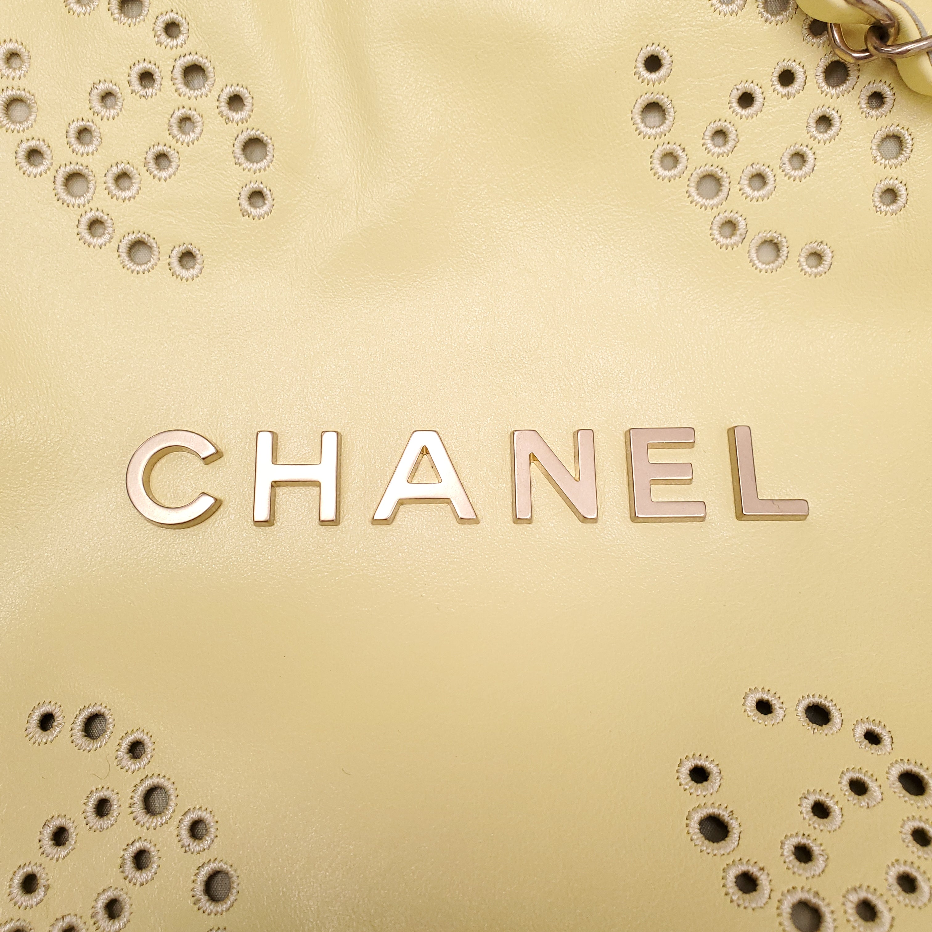 CHANEL 2025 YELLOW EMBROIDERED CALFSKIN SMALL 22 BAG