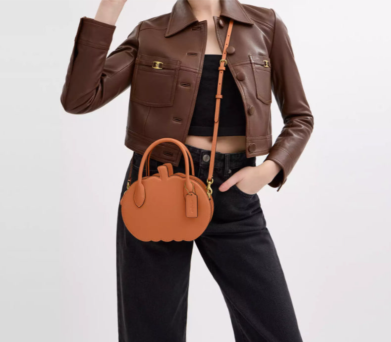 NWT Coach Pumpkin Bag In Leather