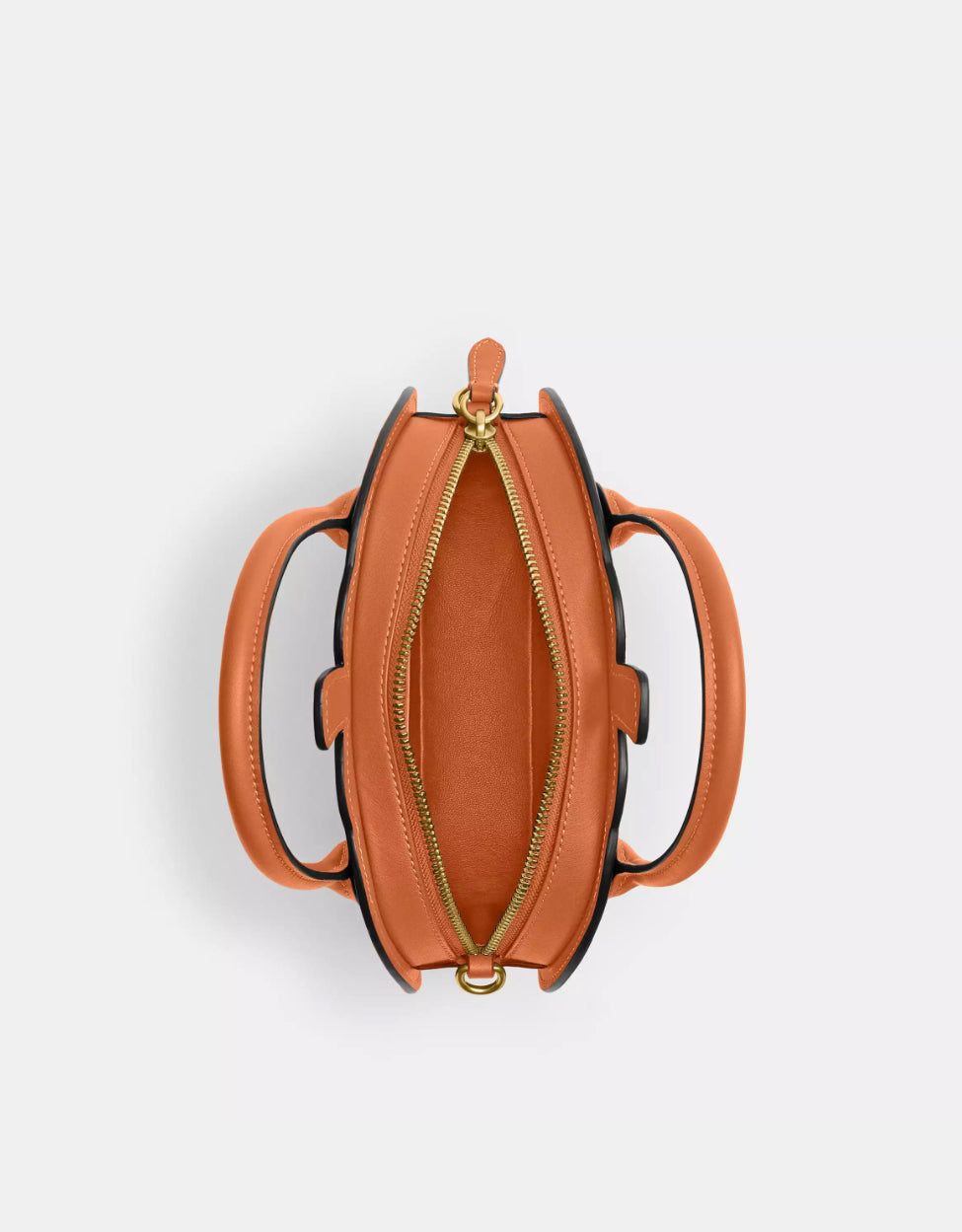 NWT Coach Pumpkin Bag In Leather