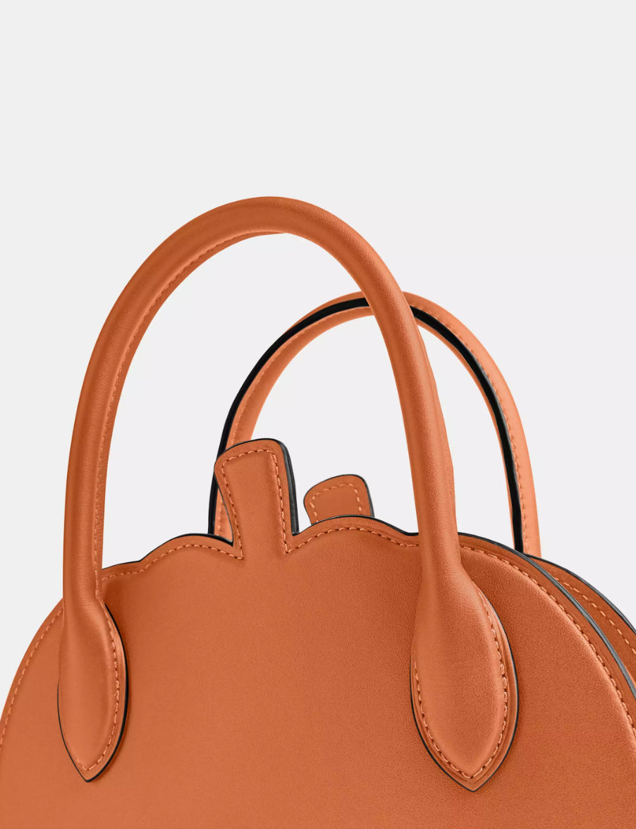 NWT Coach Pumpkin Bag In Leather
