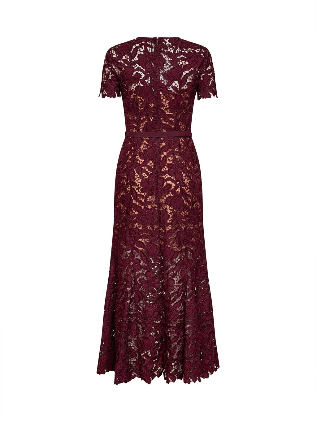 Self Portrait Women Burgundy Macramé Lace Belted Midi Dress