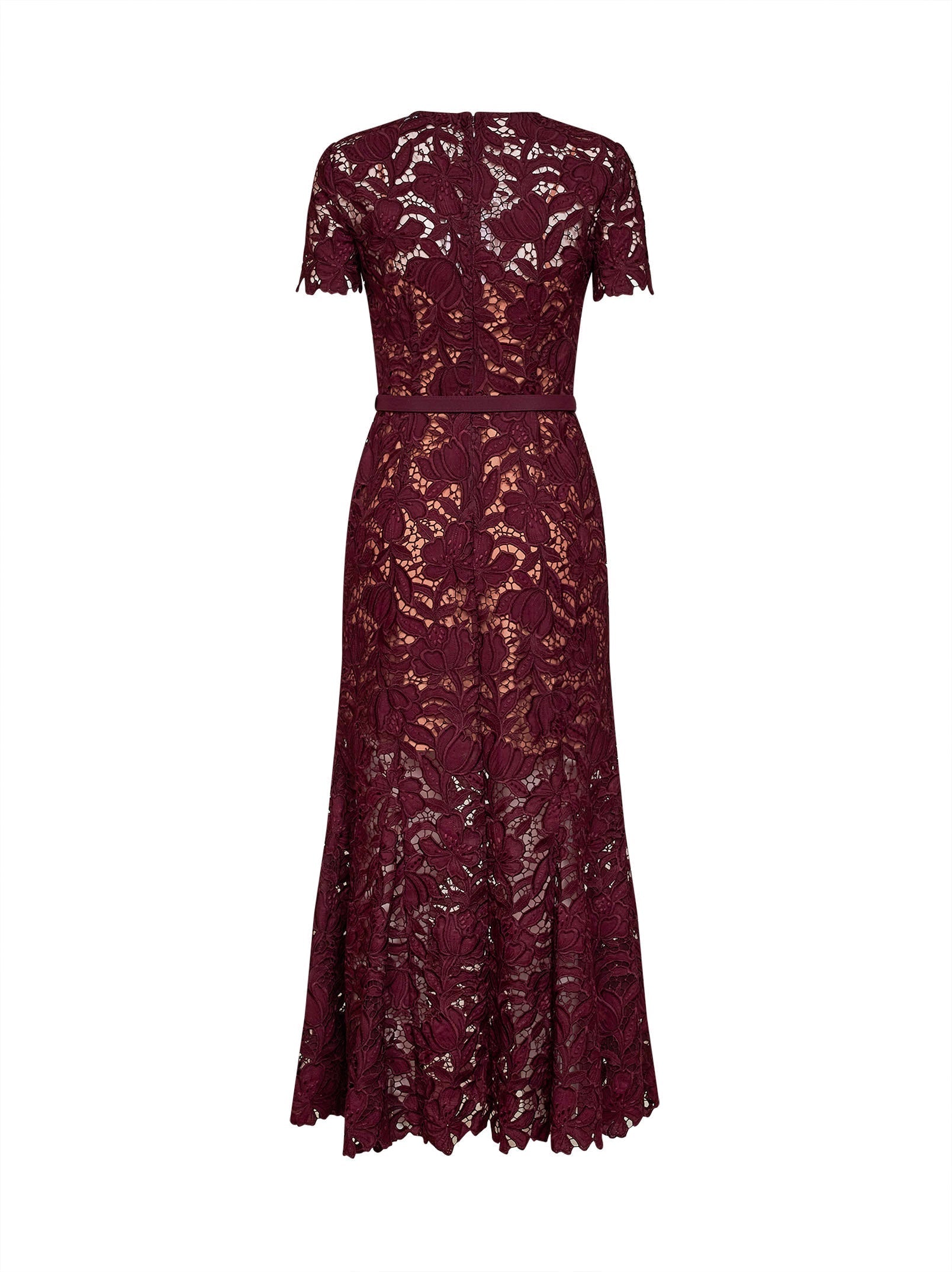 Self Portrait Women Burgundy Macramé Lace Belted Midi Dress