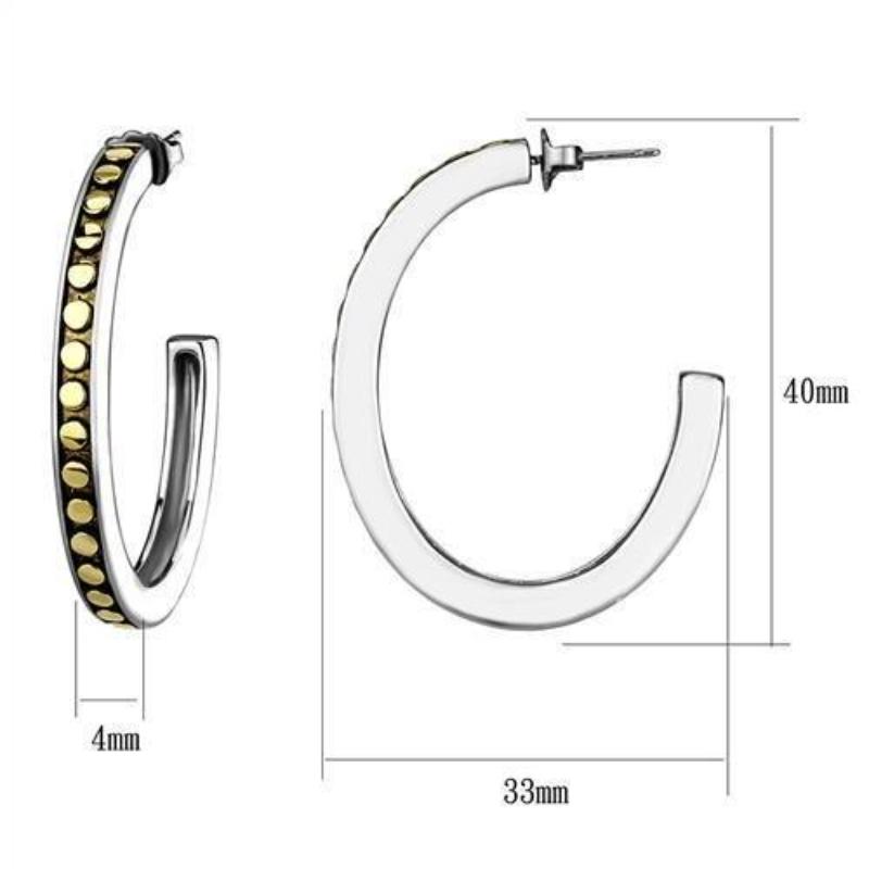 Two-Tone IP Gold (Ion Plating) Stainless Steel Earrings with Epoxy in Jet