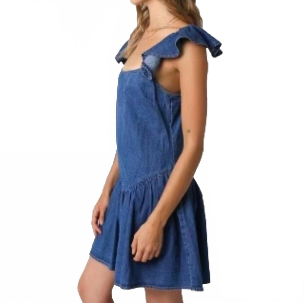 Montana Denim Dress In Blue