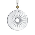 New Year Disc Firework