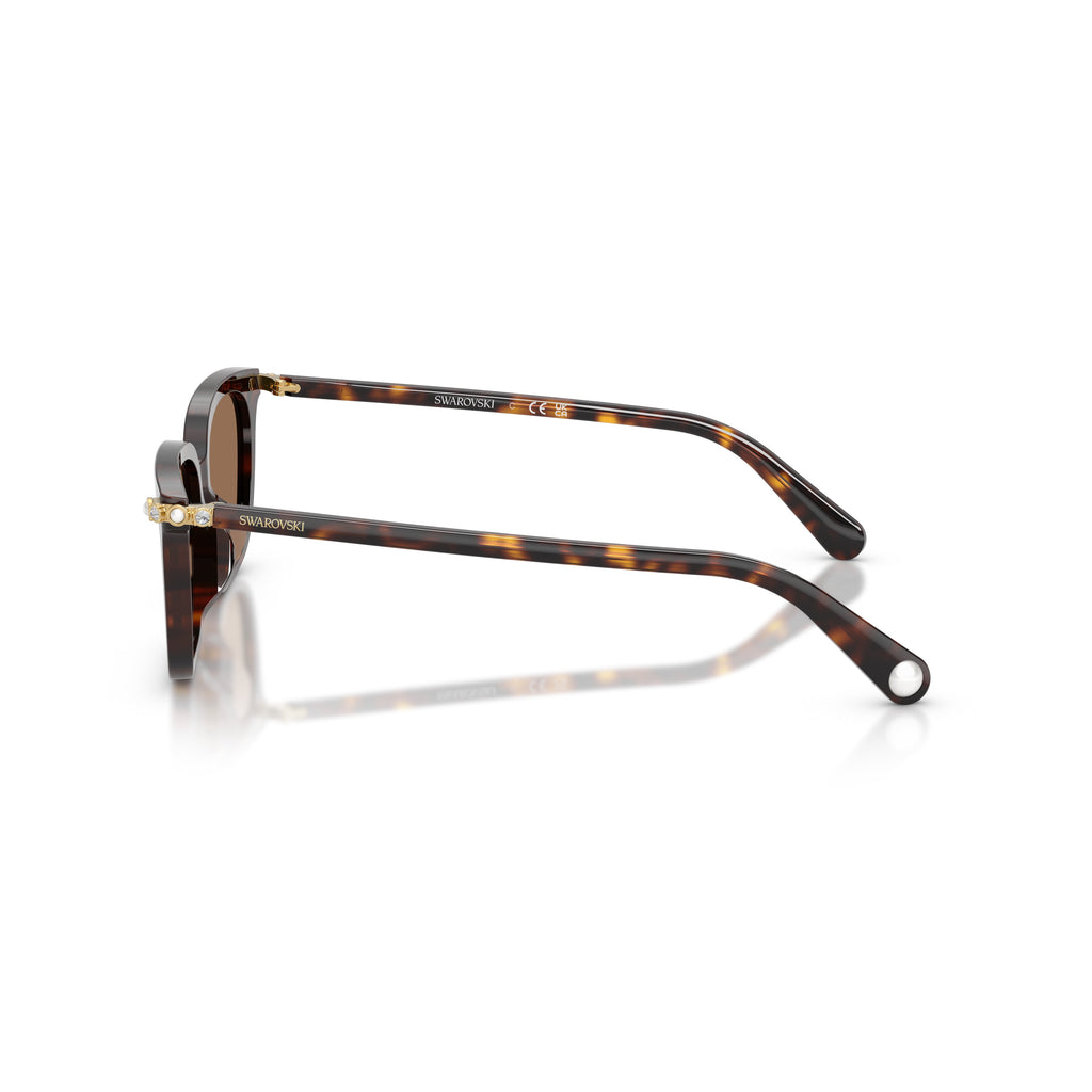 0Sk6064D Rectangular Tortoiseshell Sunglasses with Gold Accents