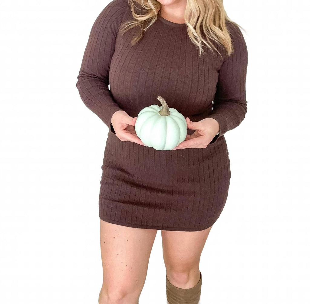 Maren Pointelle Sweater Dress In Brown