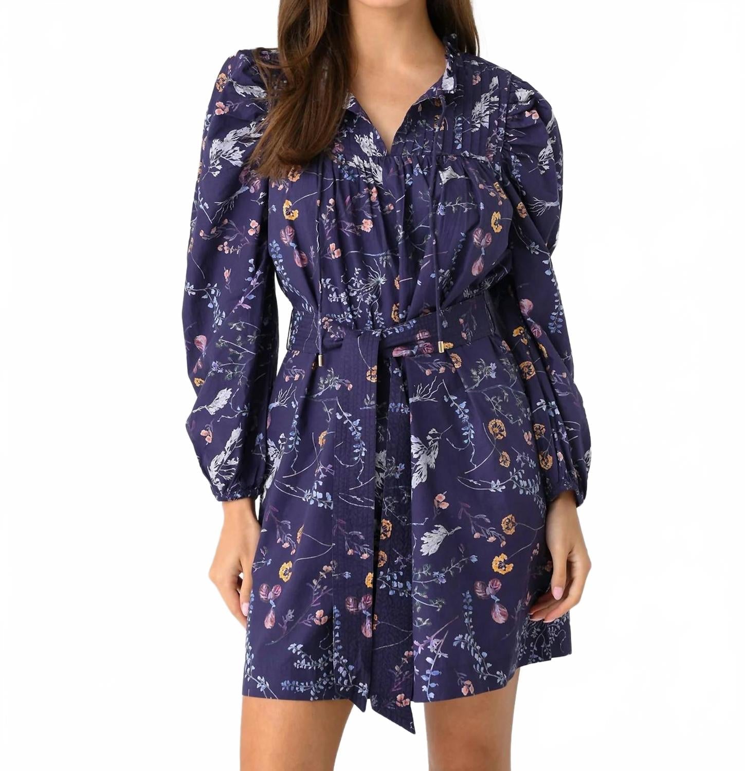 Ivana Mini Dress In Multi Print
