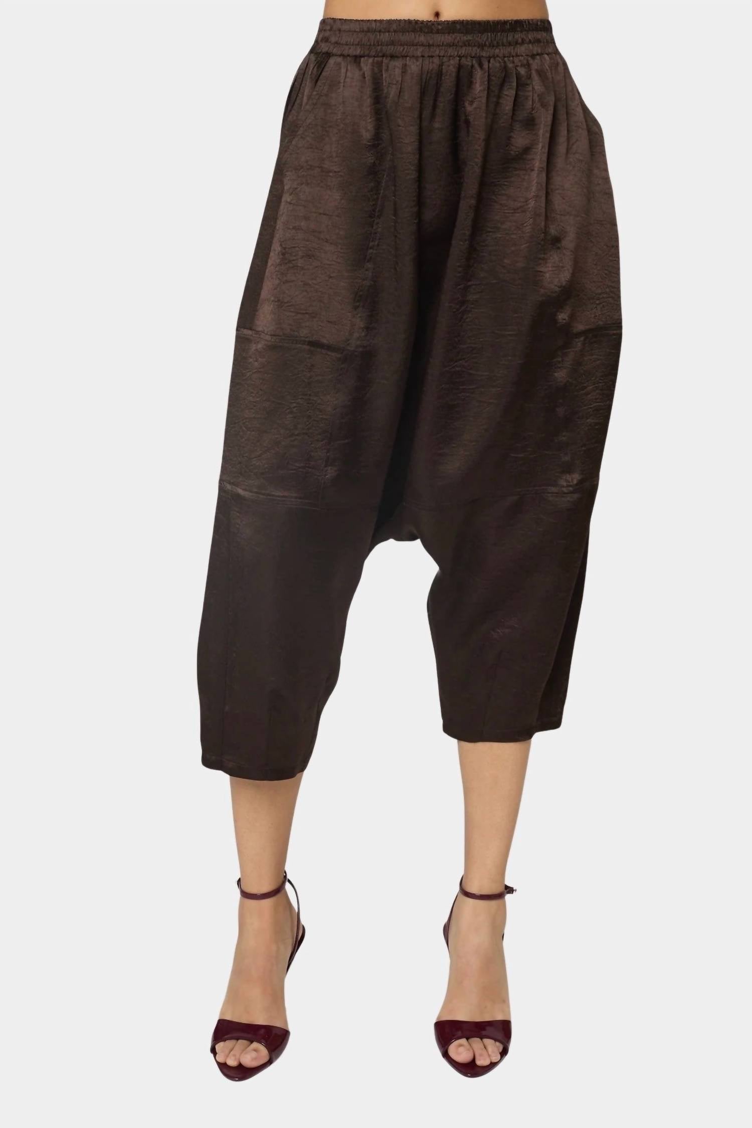 Kiko Satin Pants In Espresso