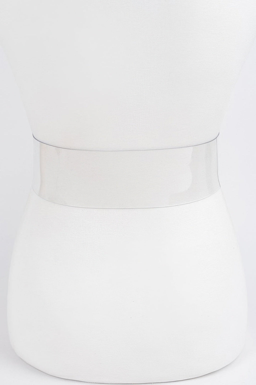 Clear Waist Belt with Metal Hardware Modern Style