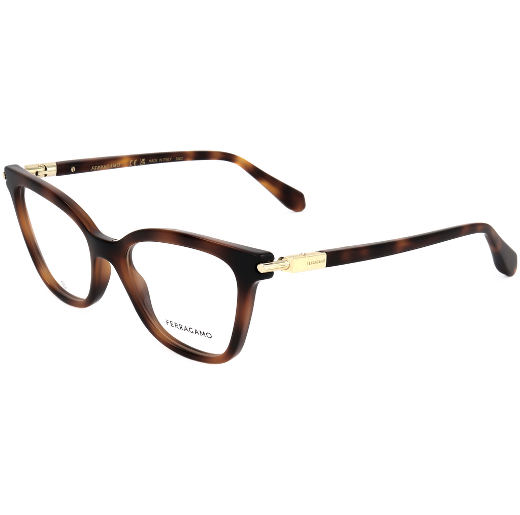 Ferragamo Women's 51 mm Brown Opticals