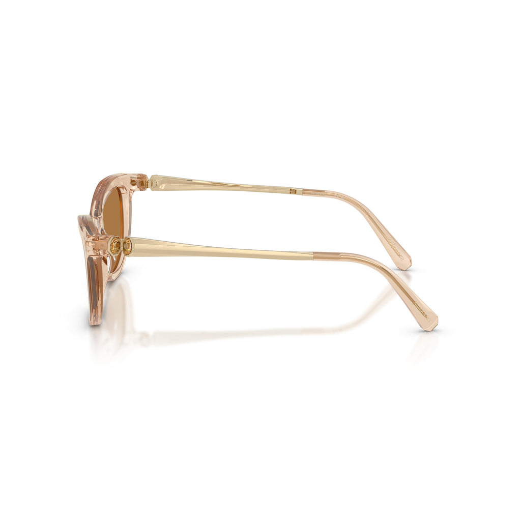 0Sk6057 Translucent Acetate Sunglasses with Angular Frame