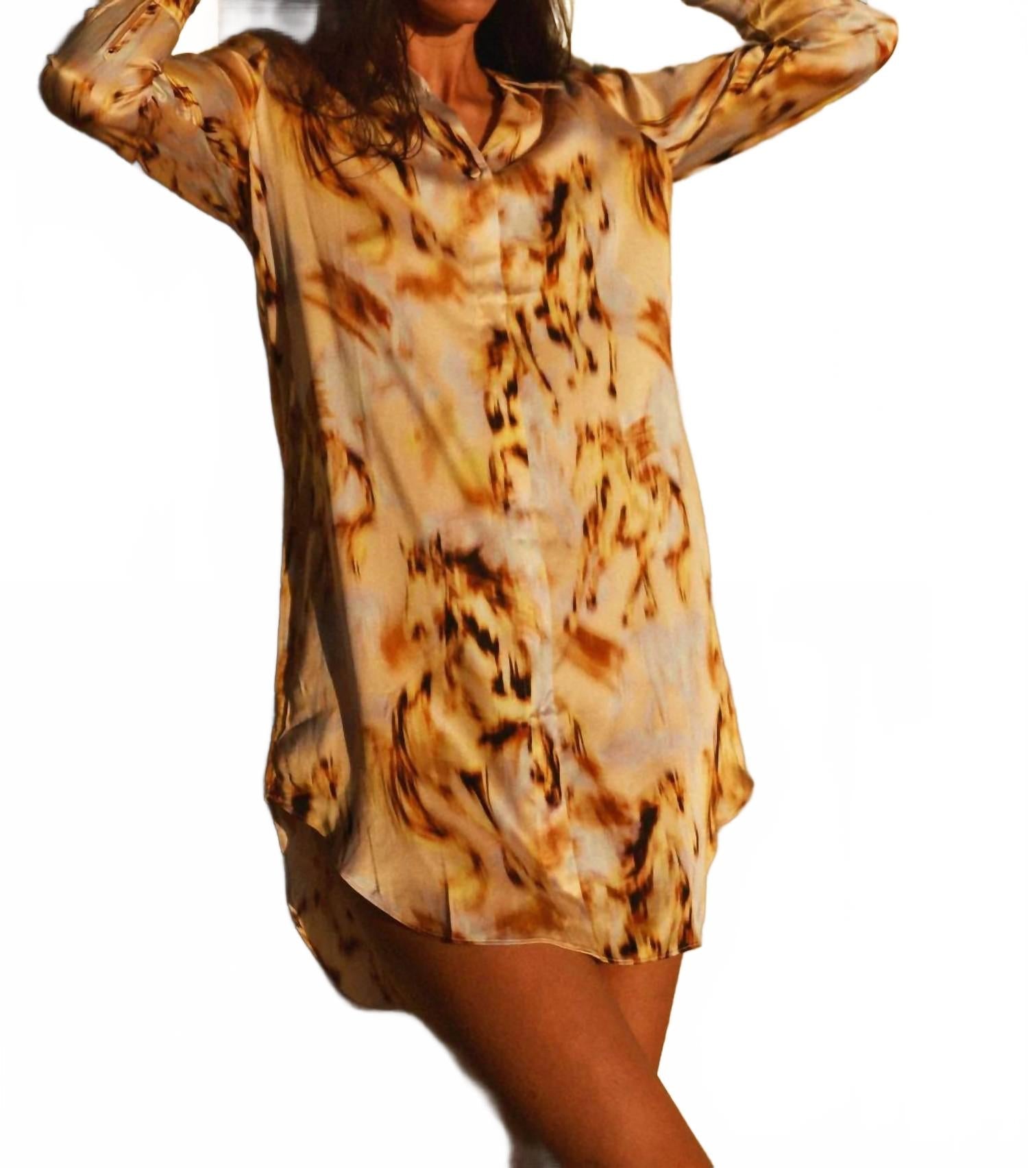Daria Dress In Wild Horse