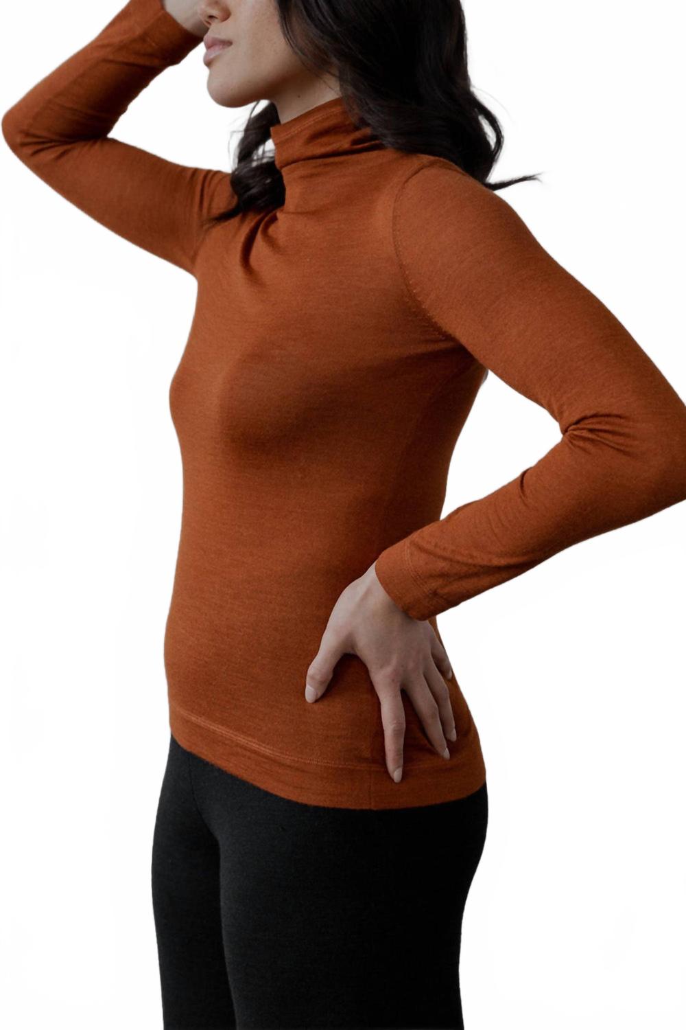Turtle Neck Pullover In Rust