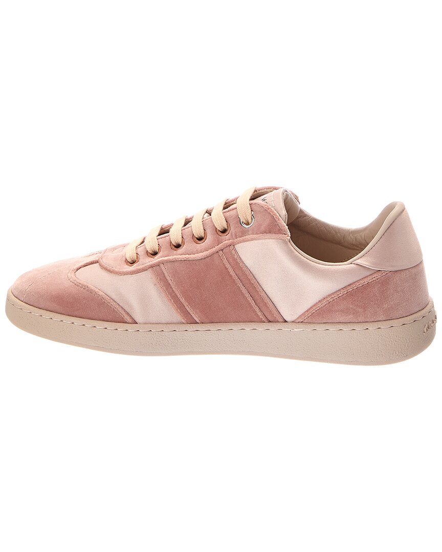 Ferragamo Dracone Velvet Sneaker
