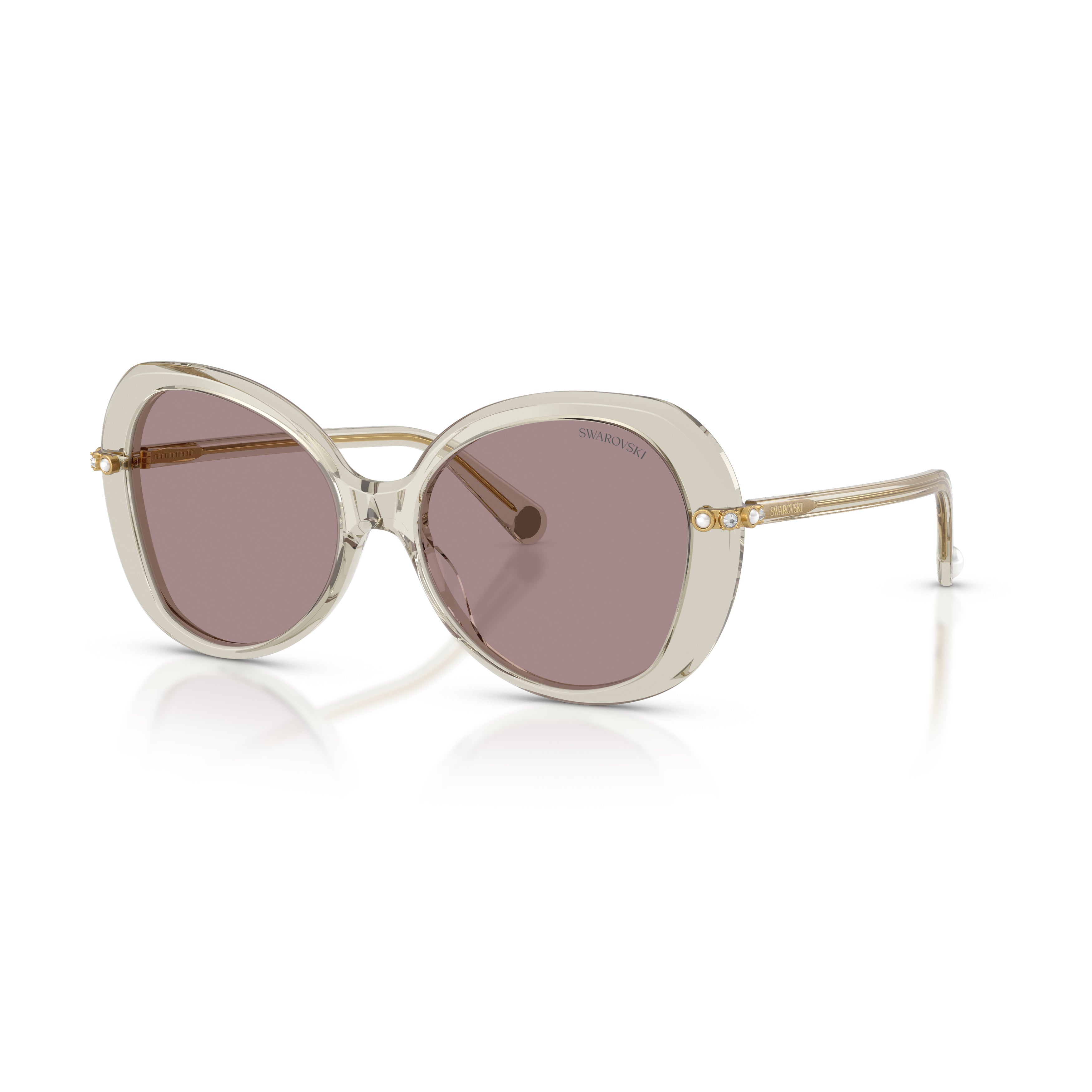0Sk6059 Large Rounded Acetate Sunglasses with Gold-Toned Temples
