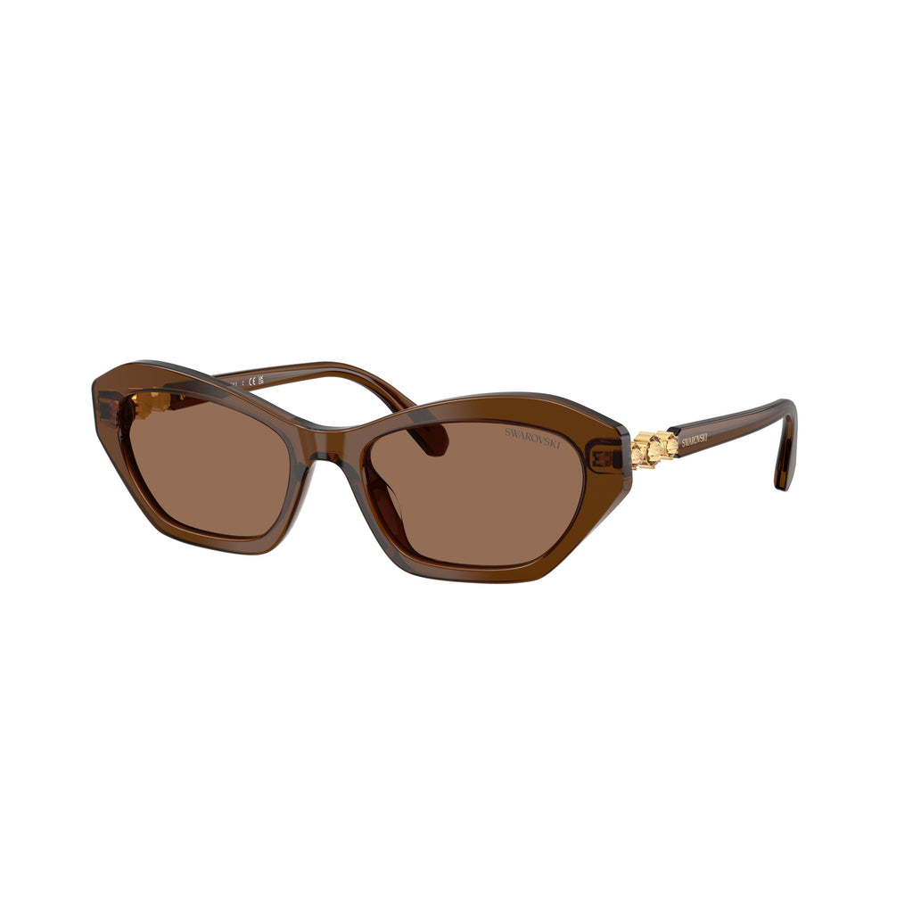 0Sk6048 Geometric Cat-Eye Sunglasses with Gold Accents