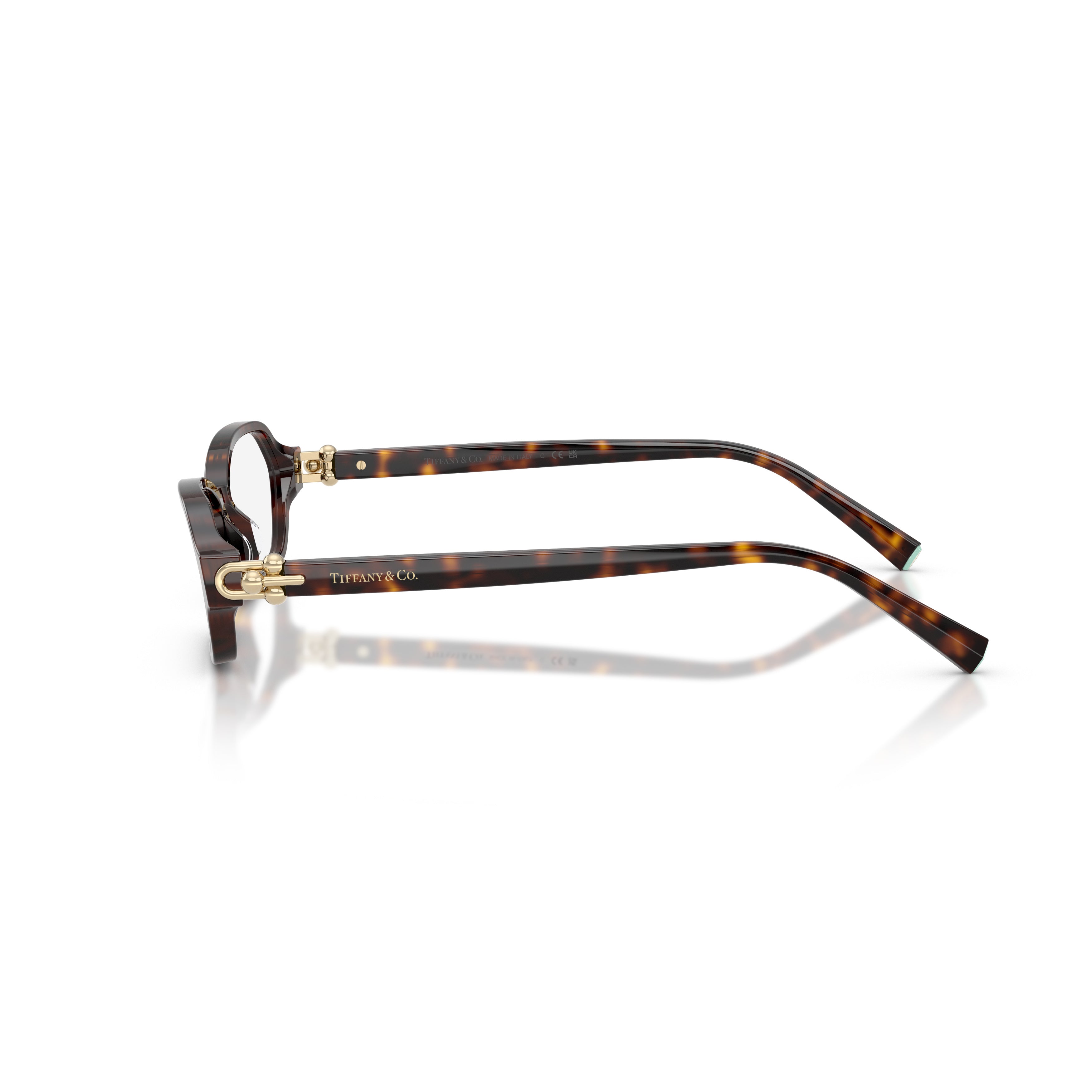 Rectangular Tortoiseshell Acetate Sunglasses With Gold Accents