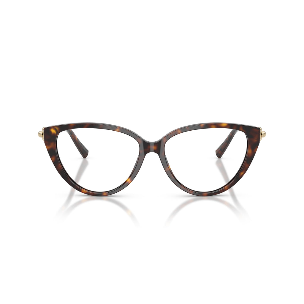 Cat-Eye Sunglasses With Tortoiseshell Frame And Gold Accents