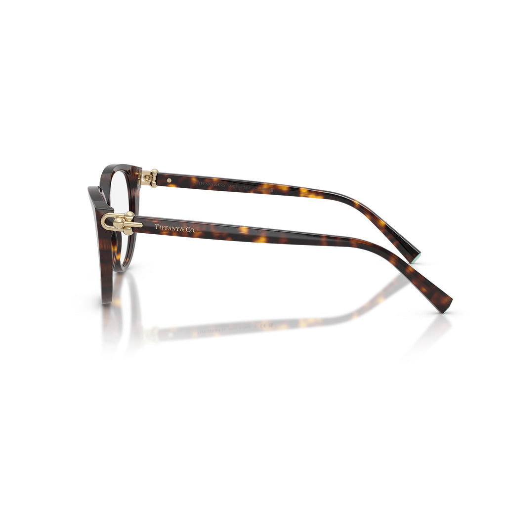 Cat-Eye Sunglasses With Tortoiseshell Frame And Gold Accents