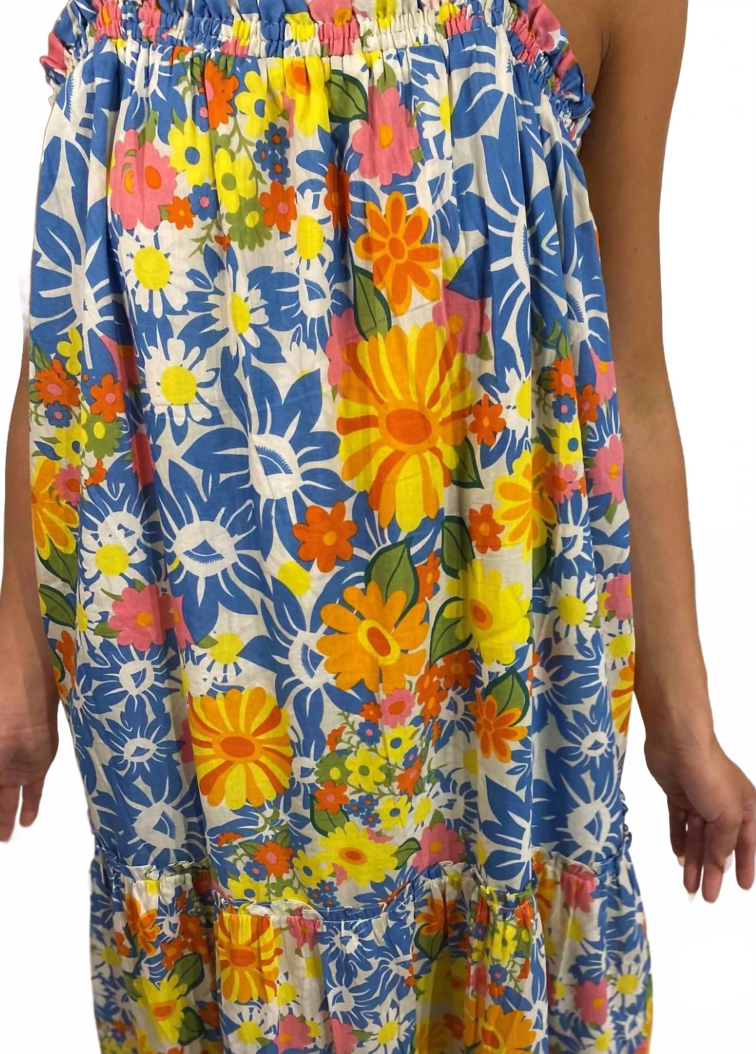 Barbade Printemps Maxi Dress In Floral Multi