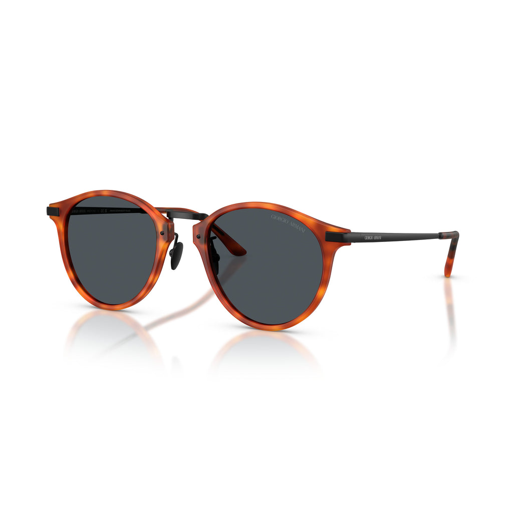 0Ar8250 Tortoiseshell Acetate Sunglasses